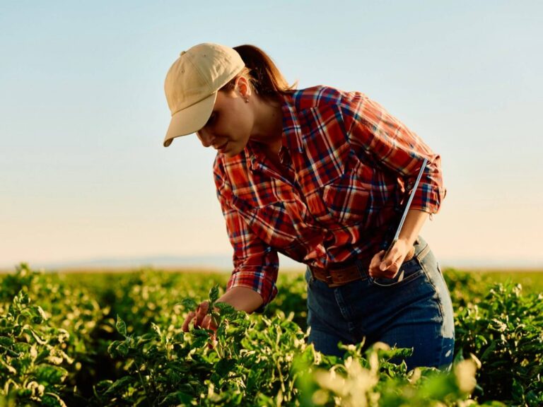 Agriculture website design: farmer checking crops in a green field at sunset