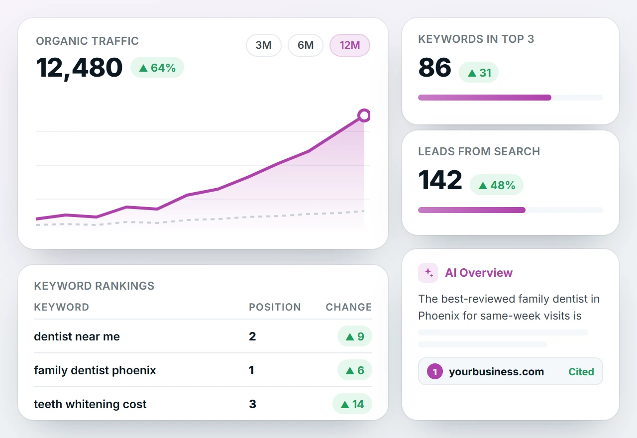 Example SEO dashboard with a 12-month organic traffic chart, keyword rankings table, keywords in the top 3, leads from search and a website cited in a Google AI Overview